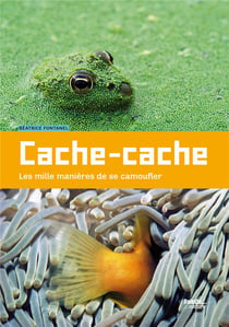 Cache-cache - les mille manière de se camoufler