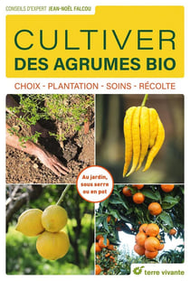 Cultiver des agrumes bio : choix - plantation - soins - récolte