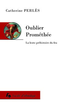 Oublier Prométhée : La lente préhistoire du feu