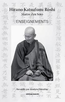 Hirano Katsufumi Roshi, maître zen sito - enseignements