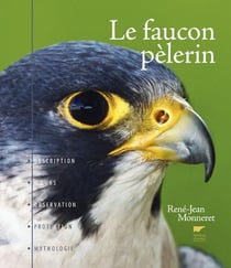 Le faucon pèlerin - description, moeurs, observation, protection, mythologie