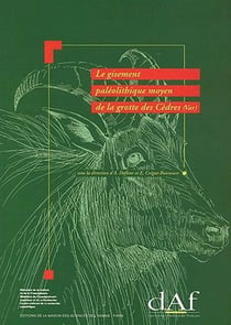 Le Gisement paléolithique moyen de la grotte des Cèdres (Le Plan d'Aups, Var)