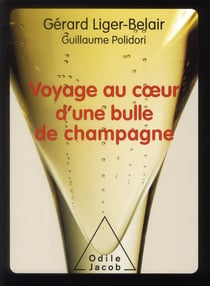 Voyage au coeur d'une bulle de champagne
