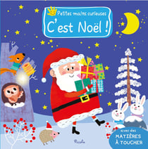Petites mains curieuses : C'est noël !