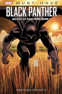 Black Panther : qui est la panthère noire ?