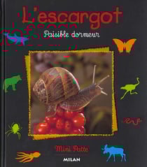 L'escargot paisible dormeur