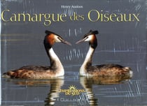 Camargue des oiseaux