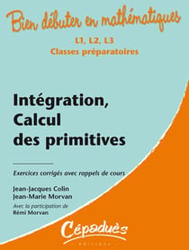 Bien débuter en mathématiques : intégration, calcul des primitives - L1/L2/L3/classes préparatoires - exercices corrigés avec rappels de cours