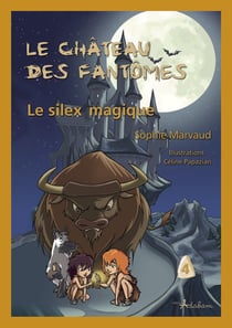 Le château des fantômes Tome 4 - le silex magique
