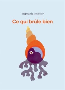 Ce qui brûle bien