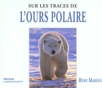 Sur les traces de l'ours polaire