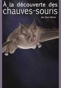 À la découverte des chauves-souris des Deux-Sèvres