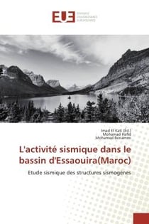 L'activite sismique dans le bassin d'essaouira(Maroc) : Etude sismique des structures sismogenes