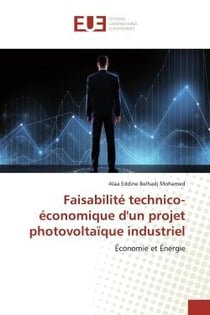 Faisabilité technico-économique d'un projet photovoltaïque industriel : Économie et Énergie