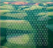 Fields