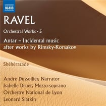 Orchestral works /vol.5