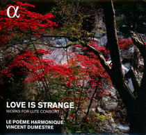 Love is strange