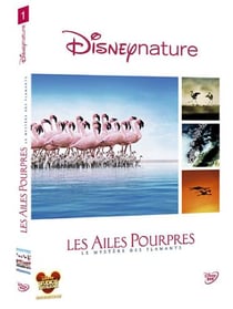 Les Ailes pourpres : le mystère des flamants