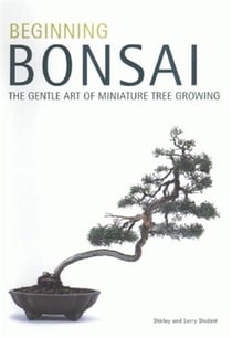 Beginning bonsai