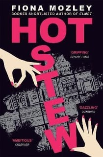 Hot Stew : a riotous novel about sex and money in Soho, from the Booker-shortlisted author of Elmet