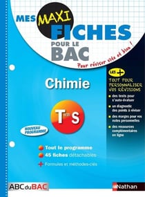 MES MAXI FICHES ABC DU BAC Tome 13 : chimie - terminale S (édition 2017)
