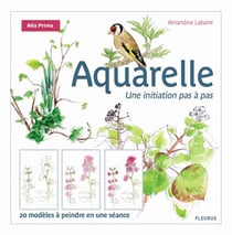 L'aquarelle - une initiation pas à pas