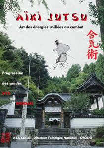 Aïki Jutsu : Art des énergies unifiées au combat