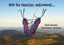 Voir les insectes autrement...