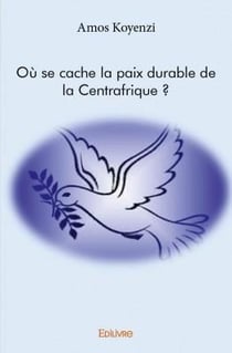 Où se cache la paix durable de la centrafrique ?
