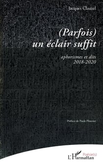 (Parfois) un éclair suffit : aphorismes et dits 2018-2020