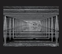 Jardin de l'ombre / An almost nothing