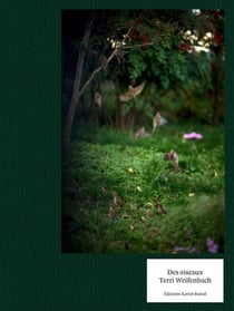 Des oiseaux