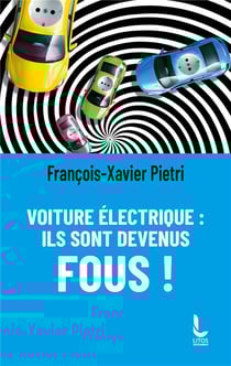 Voiture électrique : ils sont devenus fous !