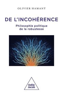 De l'incohérence : Philosophie politique de la robustesse