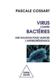 Virus contre bactéries : Une solution pour vaincre l'antibiorésistance