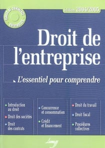 Droit de l entreprise 2004-2005. l'essentiel pour comprendre (edition 2004/2005)