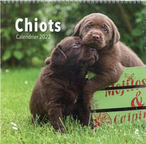 Chiots : calendrier (édition 2022)