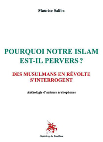 POURQUOI NOTRE ISLAM EST-IL PERVERS ?