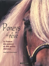 Poneys de reve
