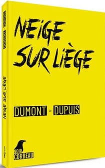 Neige sur Liège