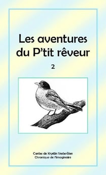 Les aventures du p'tit rêveur t.2 : chronique de l'imaginaire