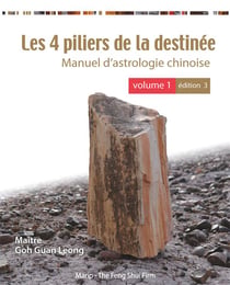 LES 4 PILIERS DE LA DESTINEE - VOL 1 (3E ED) EN COULEUR
