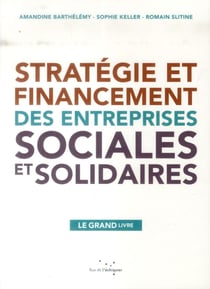 Stratégie et financement des entreprises sociales et solidaires