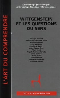 Wittgenstein et les questions du sens