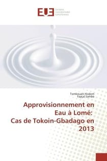 Approvisionnement en eau à Lomé : cas de Tokoin-Gbadago en 2013