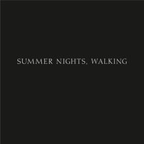 Robert Adams : Summer nights, walking