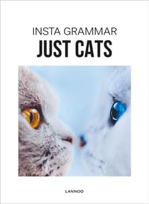 Insta grammar - just cats