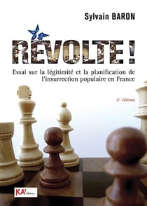 Révolte ! Essai sur la légitimité et la planification de l'insurrection populaire en France (2e édition)
