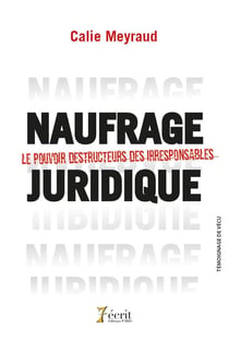 Naufrage juridique - le pouvoir destructeur des irresponsables