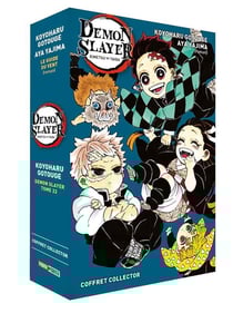 Demon slayer : coffret : Tome 22 et roman Tome 3
